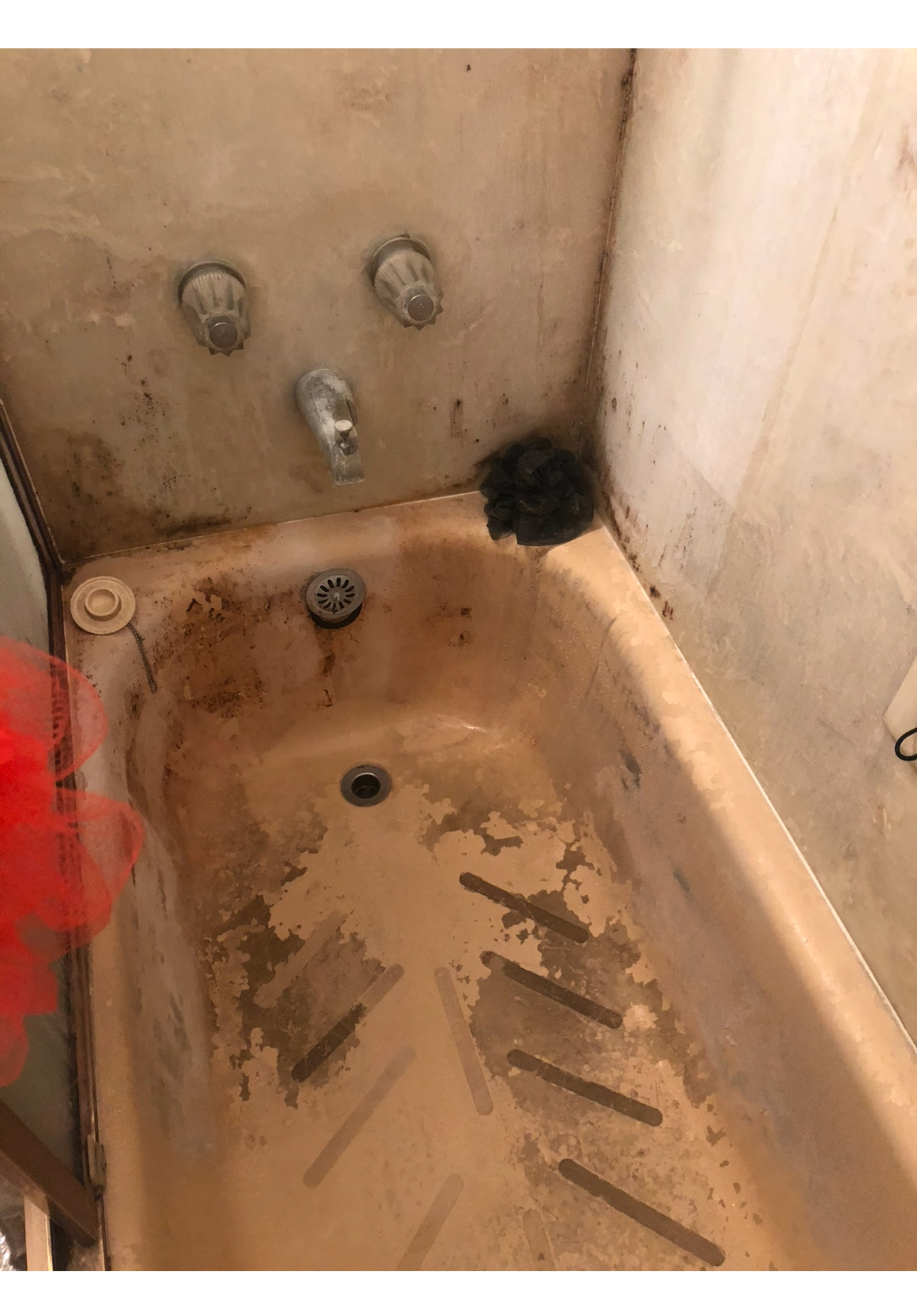 Bathtub Deep Clean before