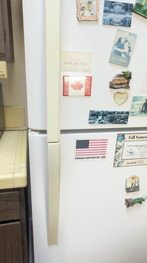 Refrigerator Deep Clean after