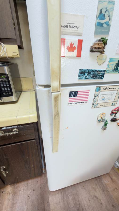 Refrigerator Deep Clean before